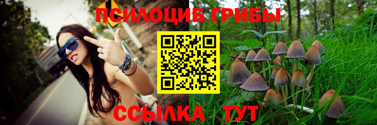 Галлюциногенные грибы Cubensis  Вход с VPN  даркнет сайт  Белебей  Галлюциногенные грибы Cubensis 